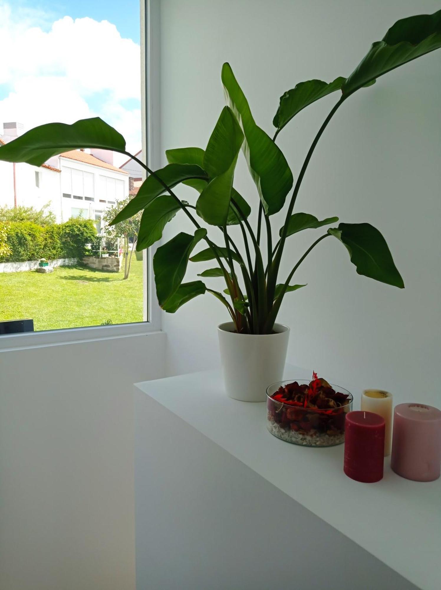 Casas Turisticas Lar Jardin - Parking Privado 圣地亚哥－德孔波斯特拉 外观 照片