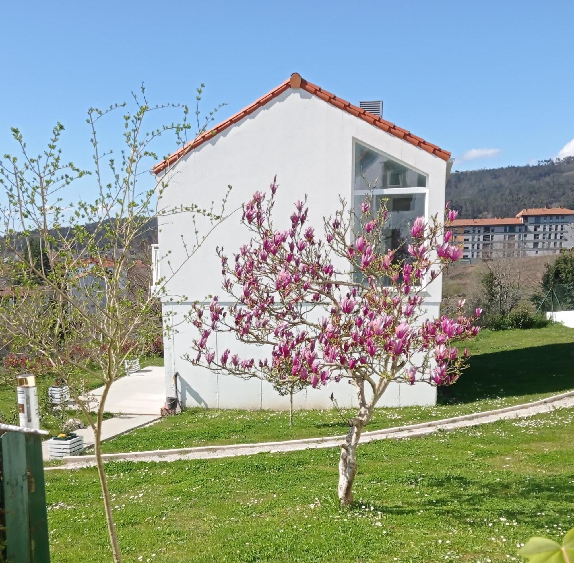 Casas Turisticas Lar Jardin - Parking Privado 圣地亚哥－德孔波斯特拉 外观 照片