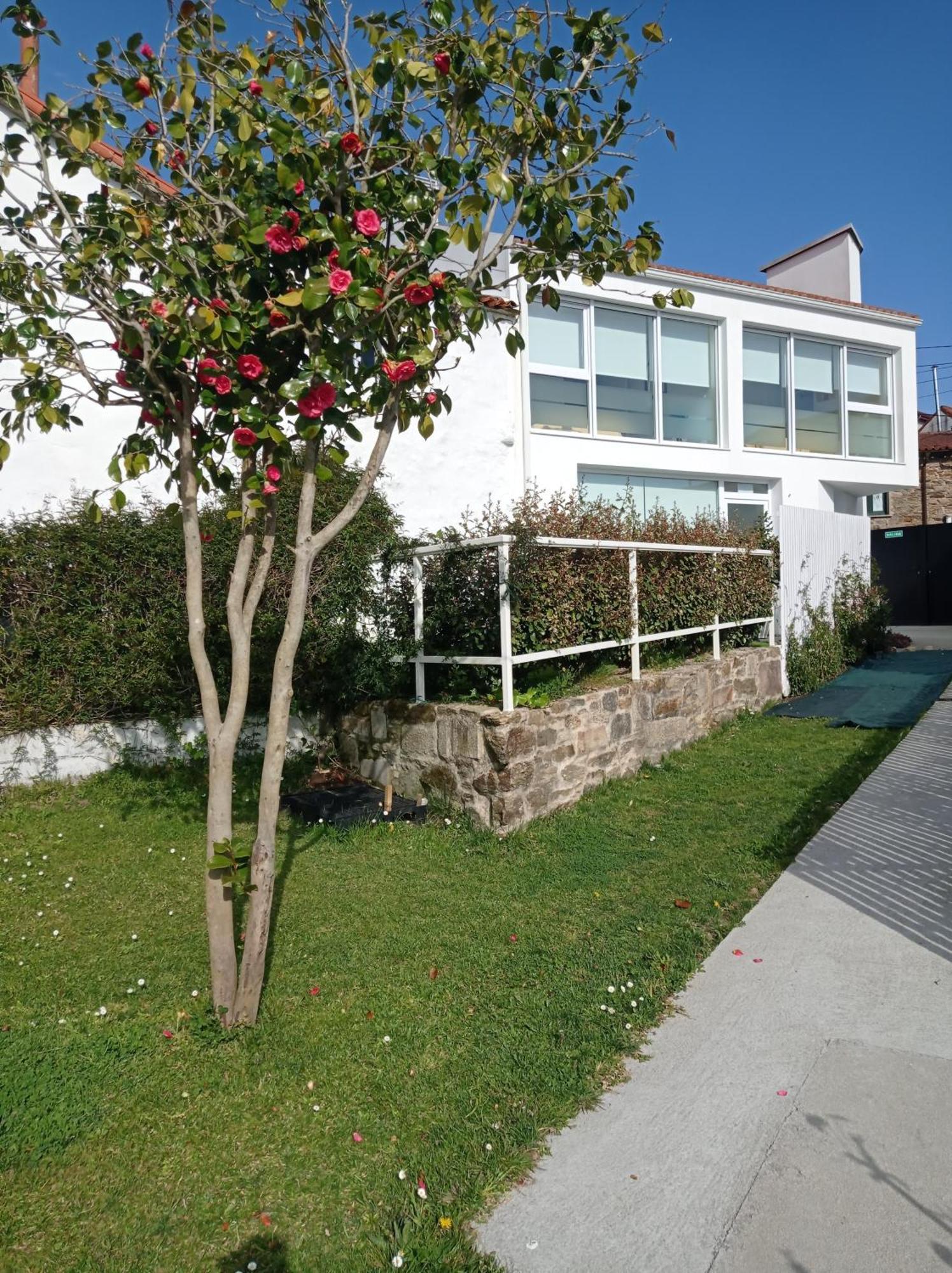 Casas Turisticas Lar Jardin - Parking Privado 圣地亚哥－德孔波斯特拉 外观 照片